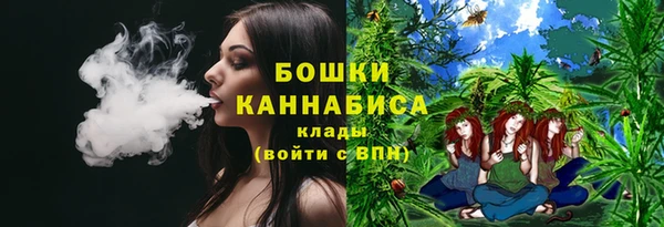 эйфоретик Вяземский